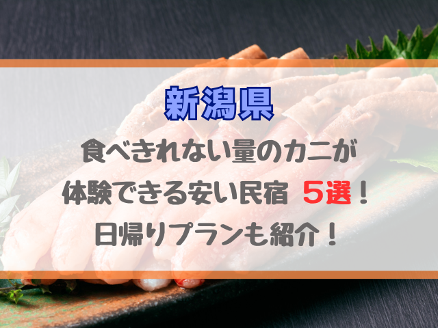 新潟で食べきれない量のカニが体験できる安い民宿5選！日帰りプランも紹介！