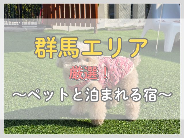 群馬エリア|ペットと泊まれる露天風呂付き客室の安い宿3選