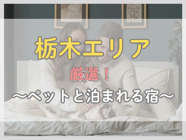 栃木エリア|ペットと泊まれる露天風呂付き客室の安い宿3選