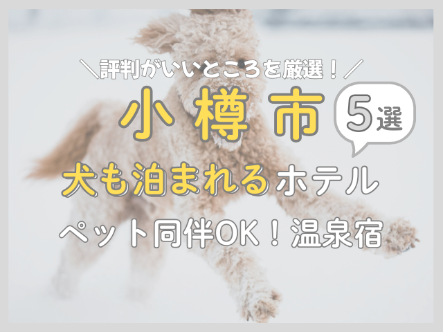 小樽で犬と泊まれる宿ランキング｜温泉付きで評判が高い宿を厳選！