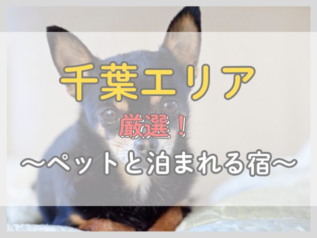 千葉エリア|ペットと泊まれる露天風呂付き客室の安い宿3選