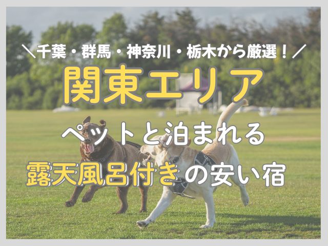 関東でペットと泊まれる露天風呂客室の安い宿｜千葉・群馬・神奈川・栃木から厳選！