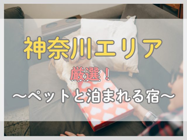 神奈川エリア|ペットと泊まれる露天風呂付き客室の安い宿3選